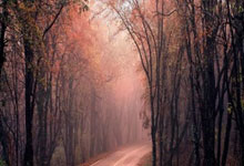 国际女子足球比赛:中国队一骑绝尘