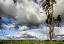 瑞士客场战平爱尔兰，排名仍领先