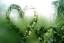 瑞士客场战平爱尔兰,排名仍领先